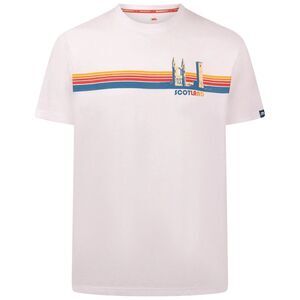 Trespass Mens Standrew T-Shirt / White